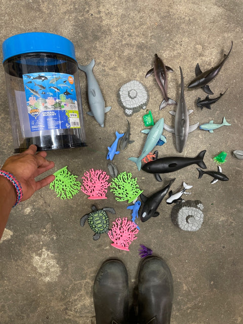 Animal Zone Ocean Bucket