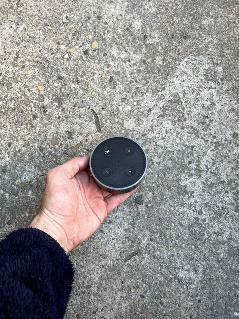 Another Alexa Echo