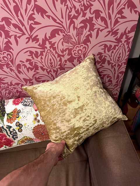 Another Gold Velvet Throw Pillow, 17x17"
