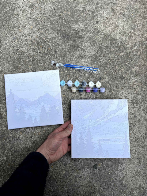 Another Paint by Numbers Set
