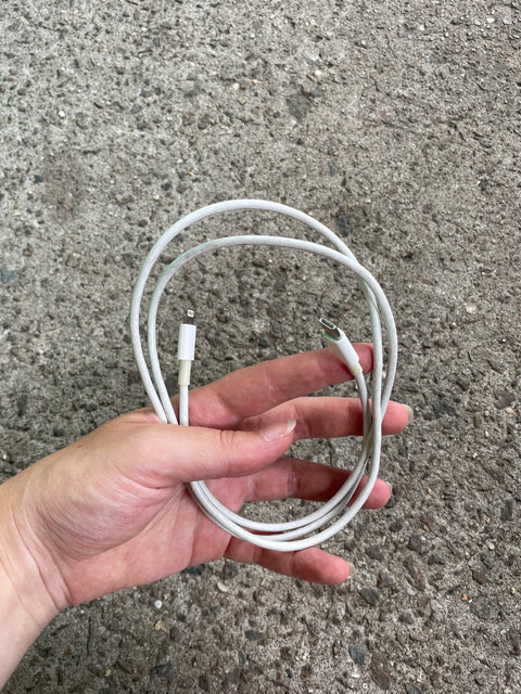 Apple Lightning To USB-C Cable