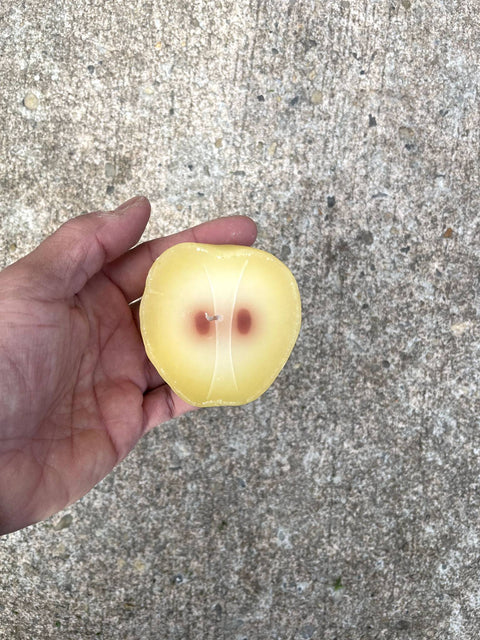 Apple Slice Candle