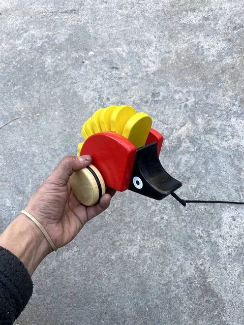 Armadillo Wooden Pull Toy