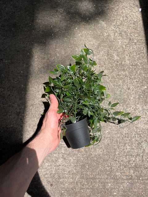 Artificial Green Potted Plant