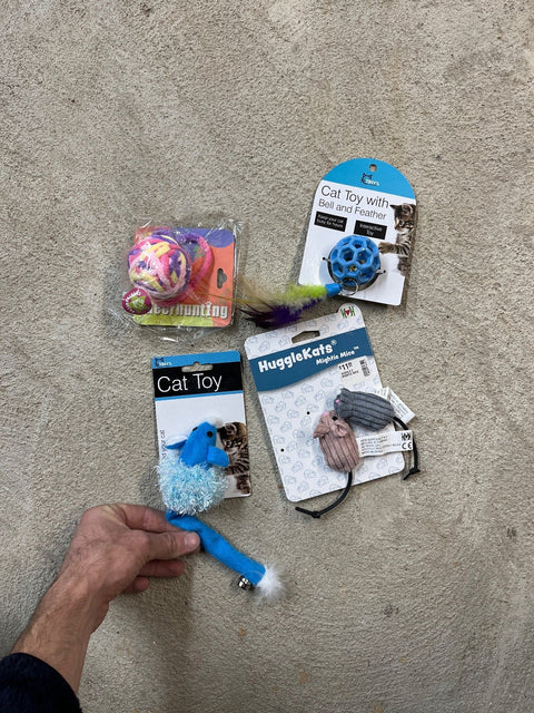 Assorted Fun Cat Toys