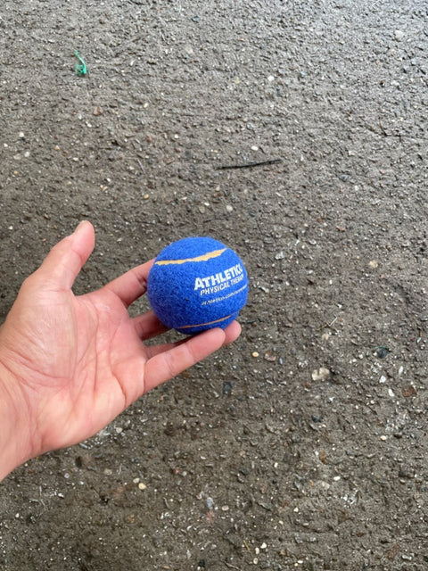 Athletics Physical Therapy Ball