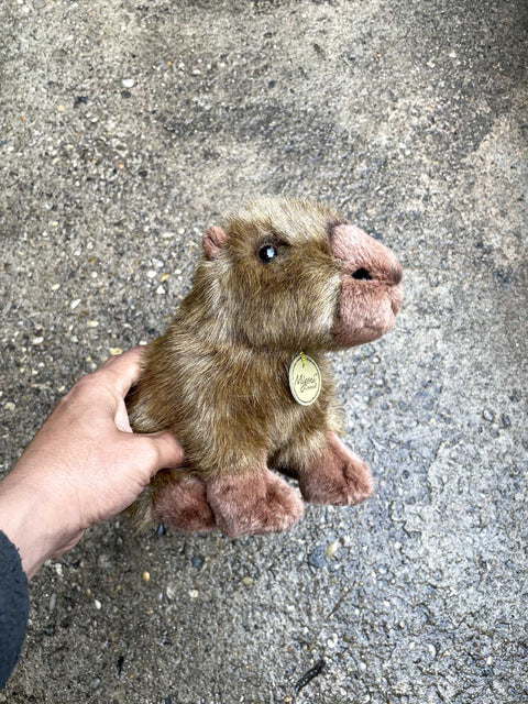 Aurora Miyoni Capybara