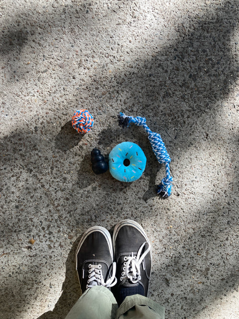Dog Toys Starter Kit