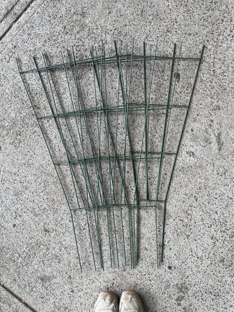 6 Plant Trellises, H36"