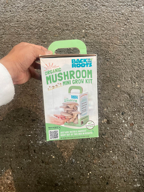 Back to the Roots Mushroom Kit