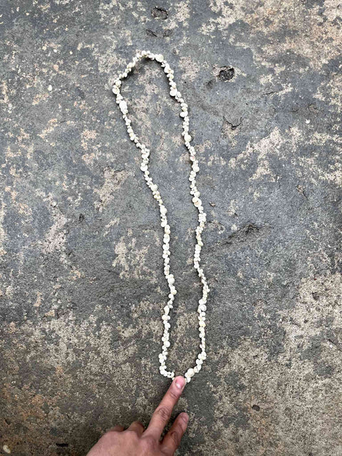 Beachy Shell Necklace