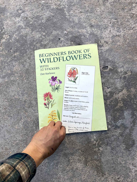 Beginners Book of Wildflowers