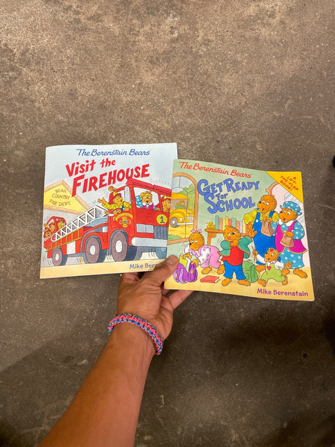 Berenstain Bears Book Collection