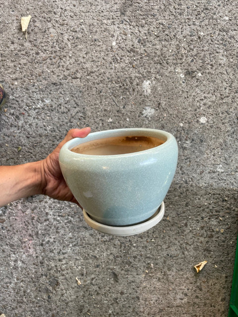Big-ish Cute Speckled Planter Pot