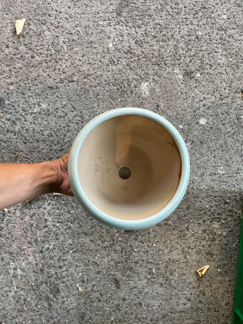 Big-ish Cute Speckled Planter Pot