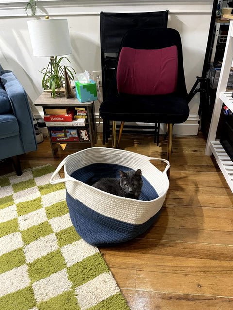Bigass Blue Woven Basket, W20" (Cat Not Included!)