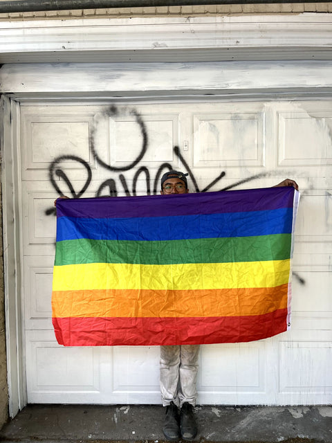 Biiig Rainbow Flag