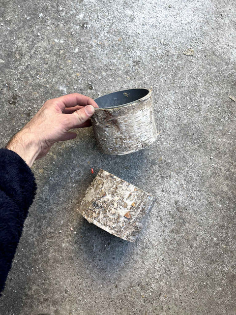 Birch Bark Planters