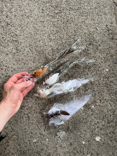 Birds For Your Feline Playtime