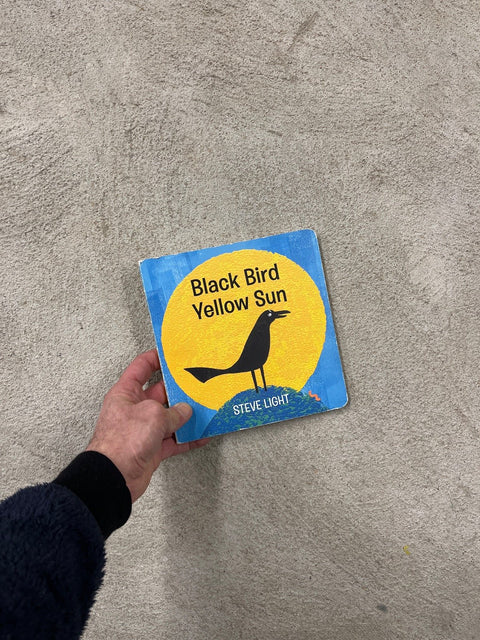 Black Bird Yellow Sun By Steve Light