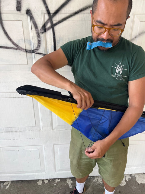Blue And Yellow Kite