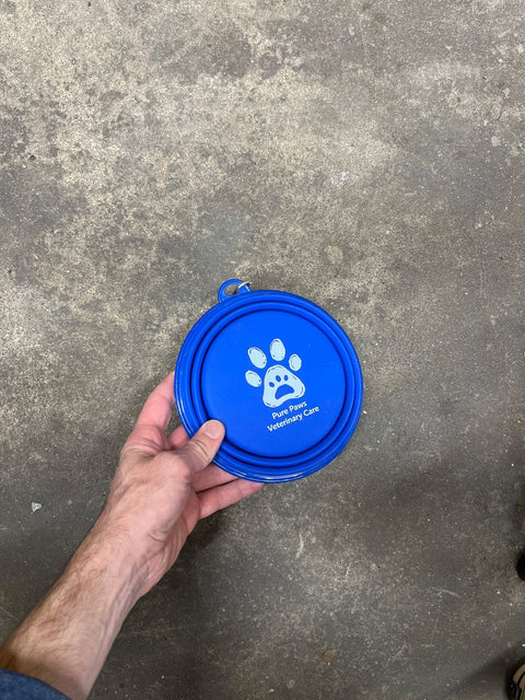 Blue Collapsible Travel Pet Bowl