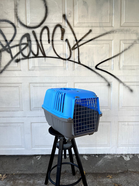 Blue & Grey Pet Carrier, W13xL21"