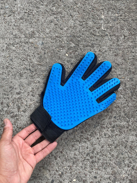 Blue Grooming Glove