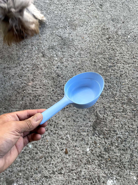 Blue Pet Food Scoop (And A Dog Head In The Corner)