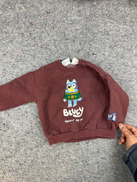 Bluey "Happiest Day Ever" Sweatshirt, Sz 2