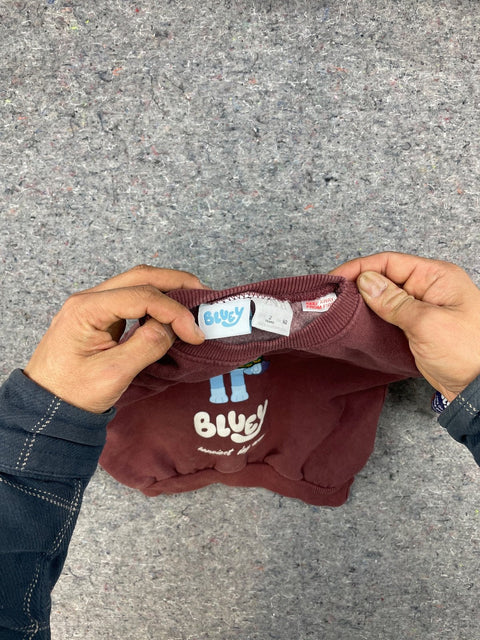 Bluey "Happiest Day Ever" Sweatshirt, Sz 2