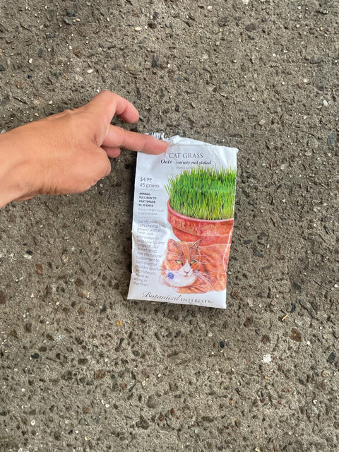 Botanical Interests Cat Grass