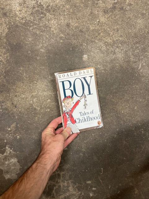 Boy By Roald Dahl