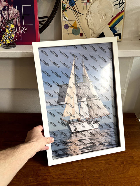 Brand New White Frame, 19x13.5"