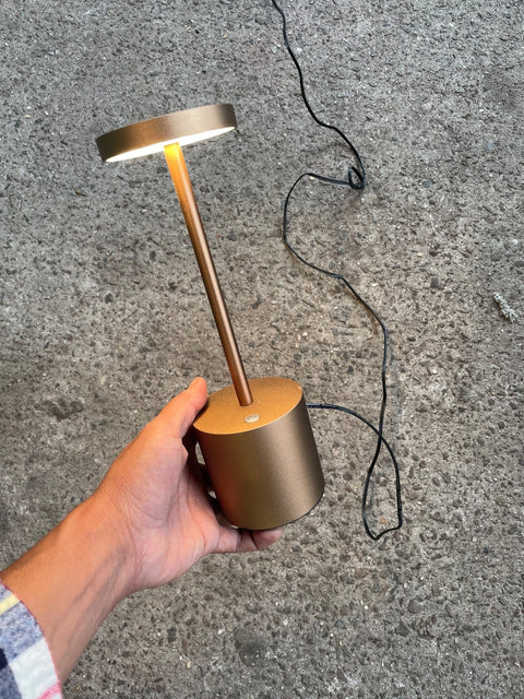 Bronze Table Lamp