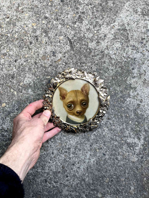 Bubbly Eyes Dog Portrait in Frame