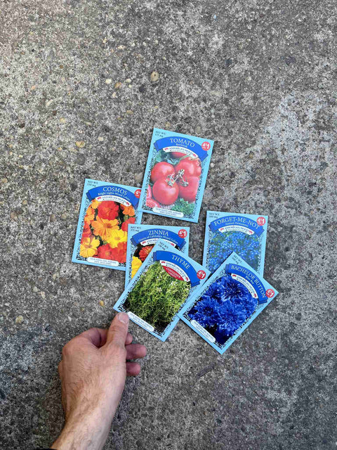 Bunch Of Unopened Seeds