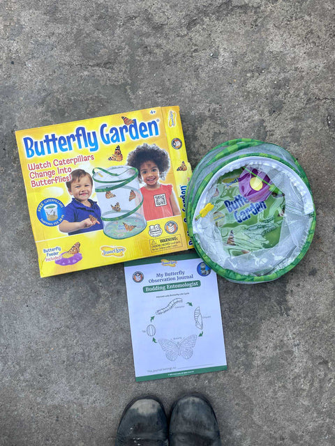 Butterfly Garden