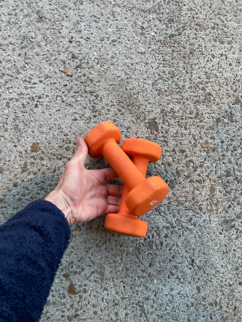 Pair Of Gaiam 5lbs Dumbbells