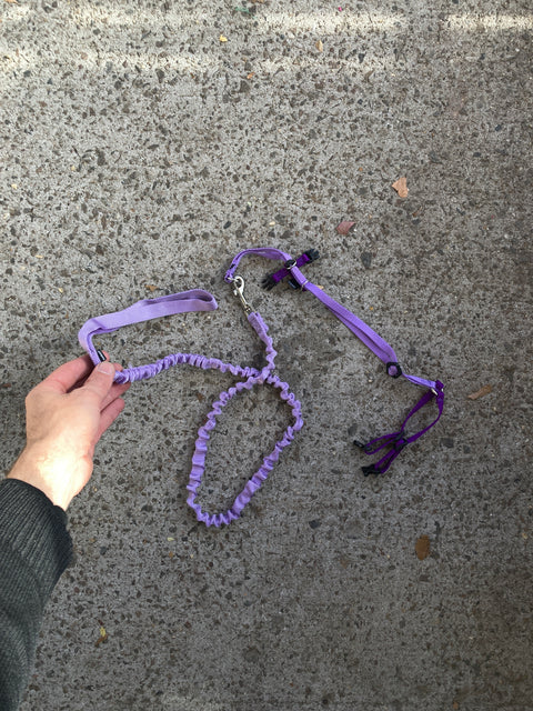 PetSafe Come with Me Kitty Nylon Cat Harness & Bungee Leash
