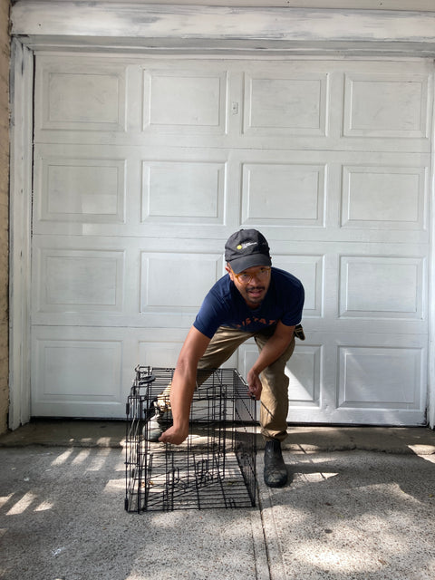 Crate For An Animal Of Your Choice, W19xL23xH17”
