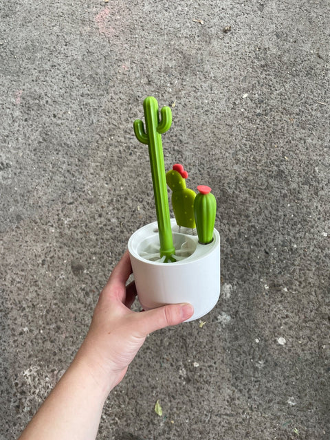 Cactus Water Bottle Cleaning Brushes