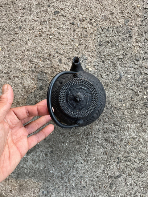 Cast Iron Teapot