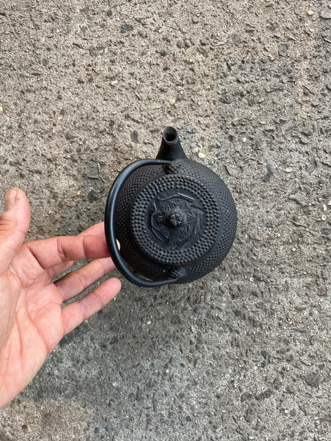 Small Cast Iron Teapot