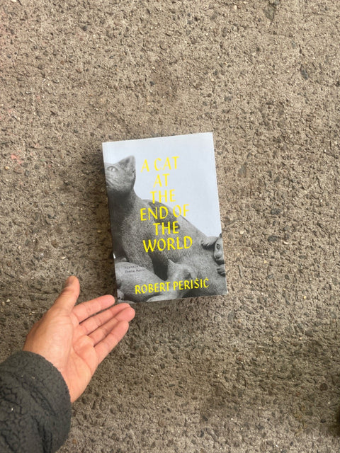 Cat At The End of the World