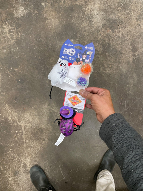 Cat Halloween Toy Bundle