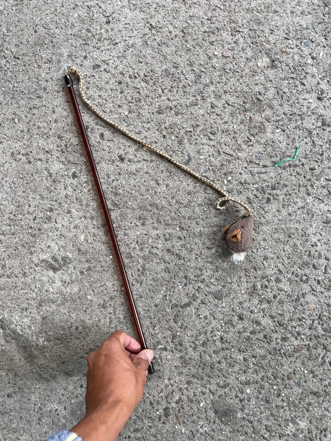 Cat Toy Teaser Rod