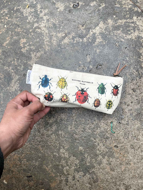 Cavelli & Co Deyrolle-esque Bug Pencil Case