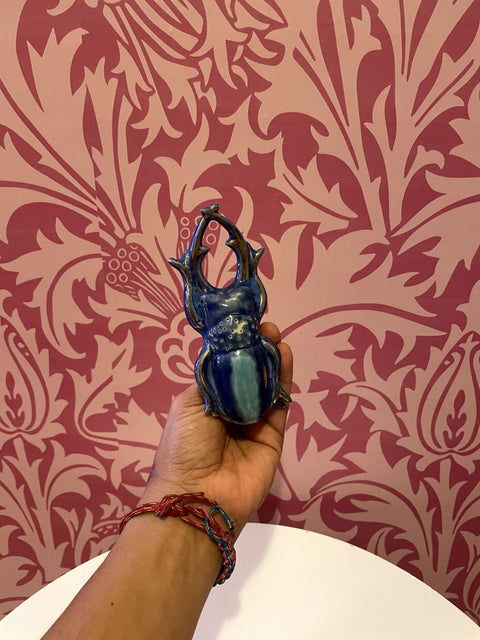 Ceramic Beetle Knob
