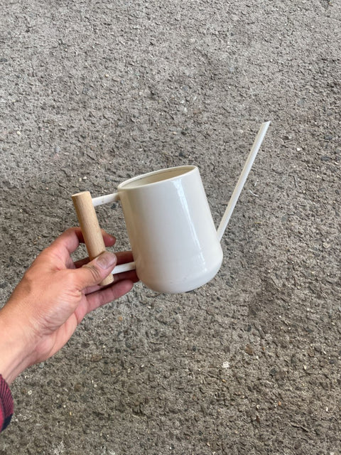 Chic Watering Can For Plants